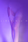 Limerence M [Tenderness] Velvet Four Sides Crotchless Pantyhose - Ling lingerie